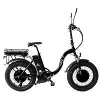 Электровелосипед Elbike Taiga 1 Twix Elite 2000