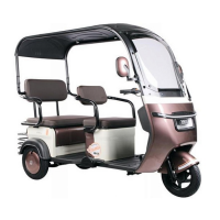 Электротрицикл Rutrike Gelbert Sarin 48V/60V 1000Вт