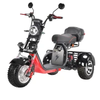 Трехколесный электроскутер CityCoco WHITE SIBERIA pro 3000W TRIKE+ offroad черный 